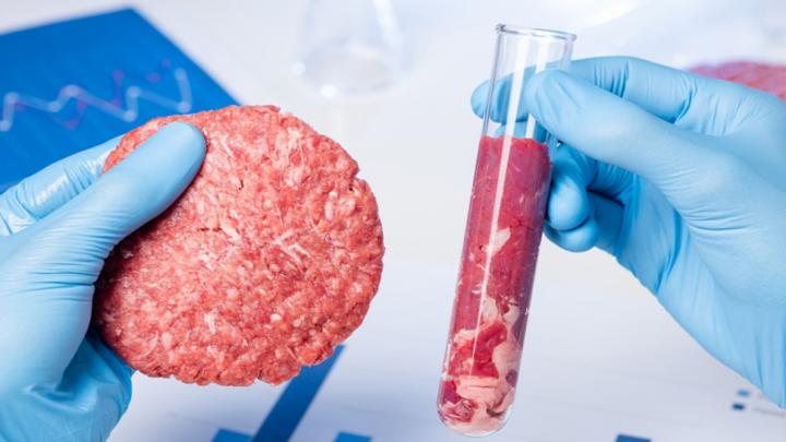 Lab–grown and plant–based meat: the science, psychology and future of meat alternatives – podcast