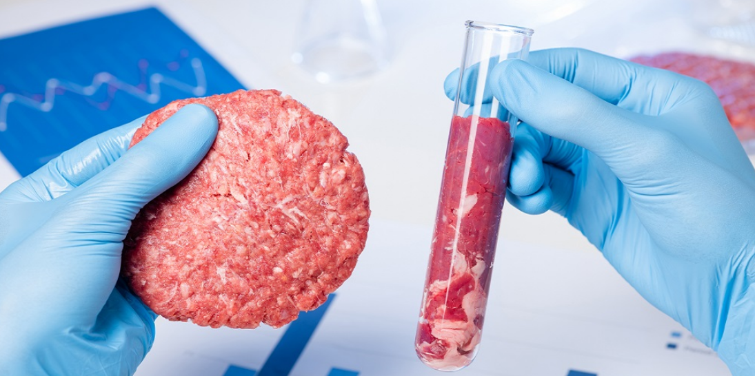 Lab–grown and plant–based meat: the science, psychology and future of meat alternatives – podcast