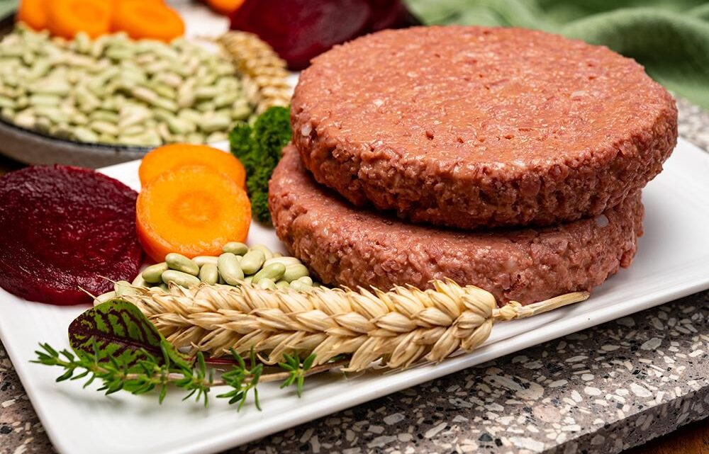 Plant-based burgers should some be considered ‘junk food’?