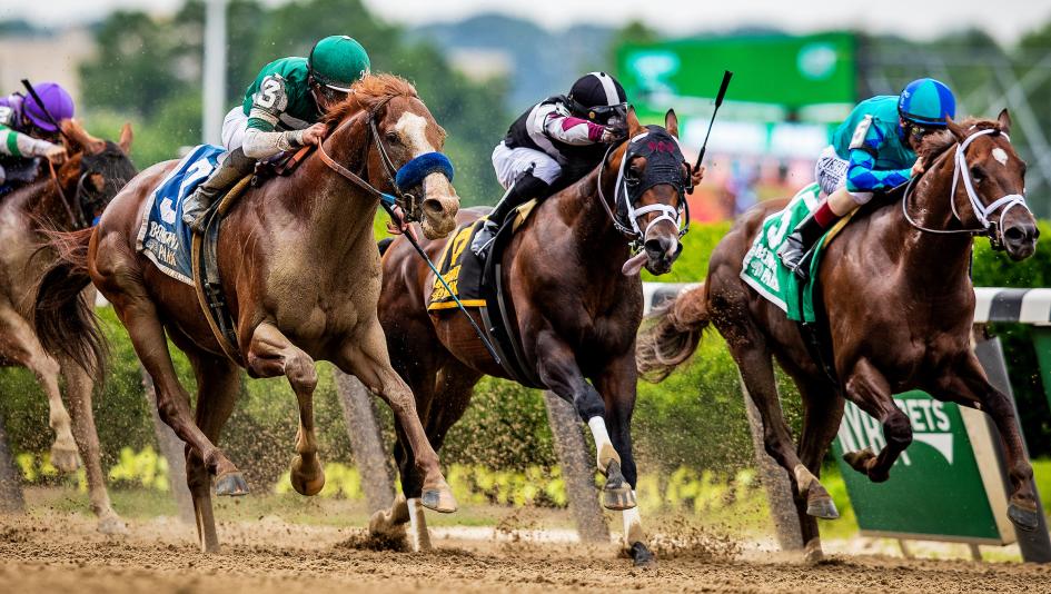 Senate committee examines economic benefits of horse race betting in Georgia
