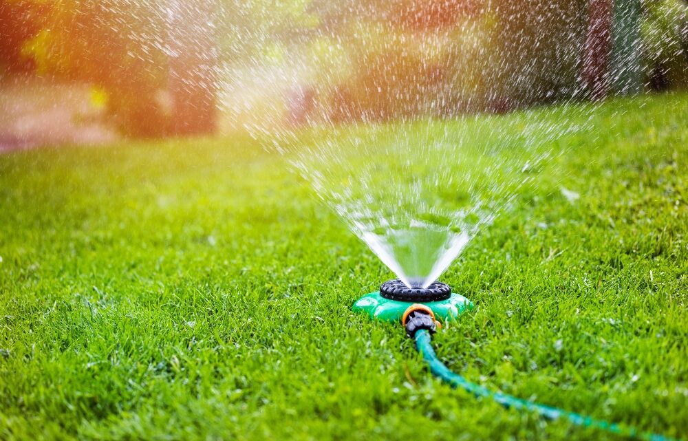 Newsom order calls on state to ban businesses from watering grass