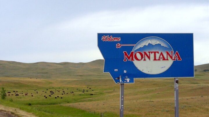 Montana’s ‘good balance’ and opportunities attract new businesses, think tank says